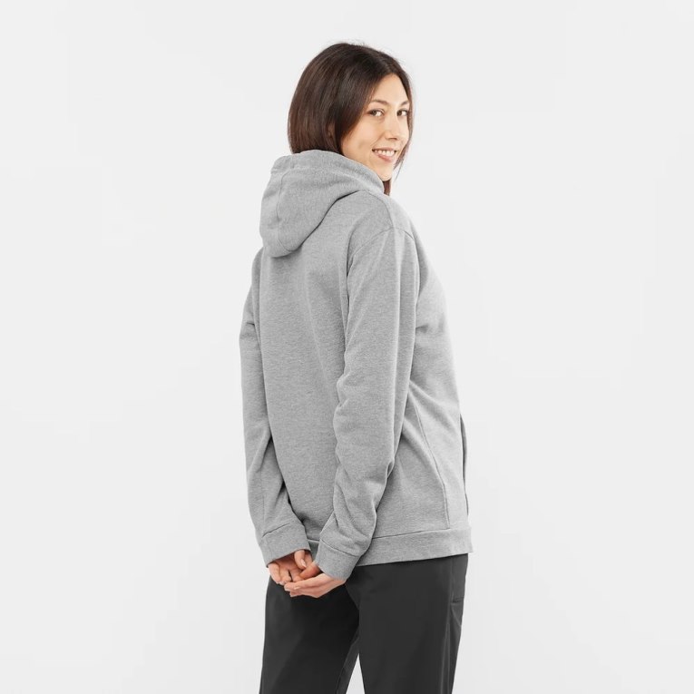 Grey Salomon Outlife Logo Summer Heather Women's Hoodie | IE NS6375